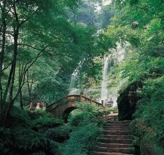 天堂契约